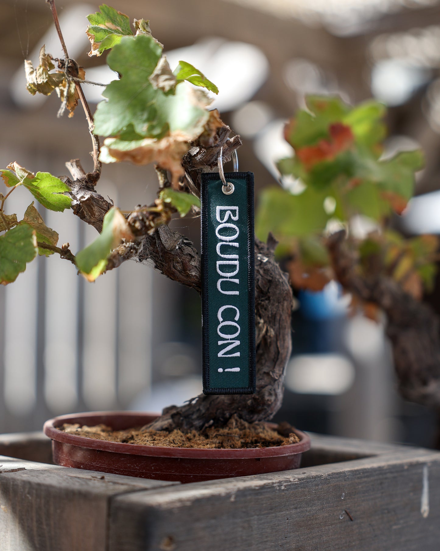 Porte-clé tissu Boudu Con!