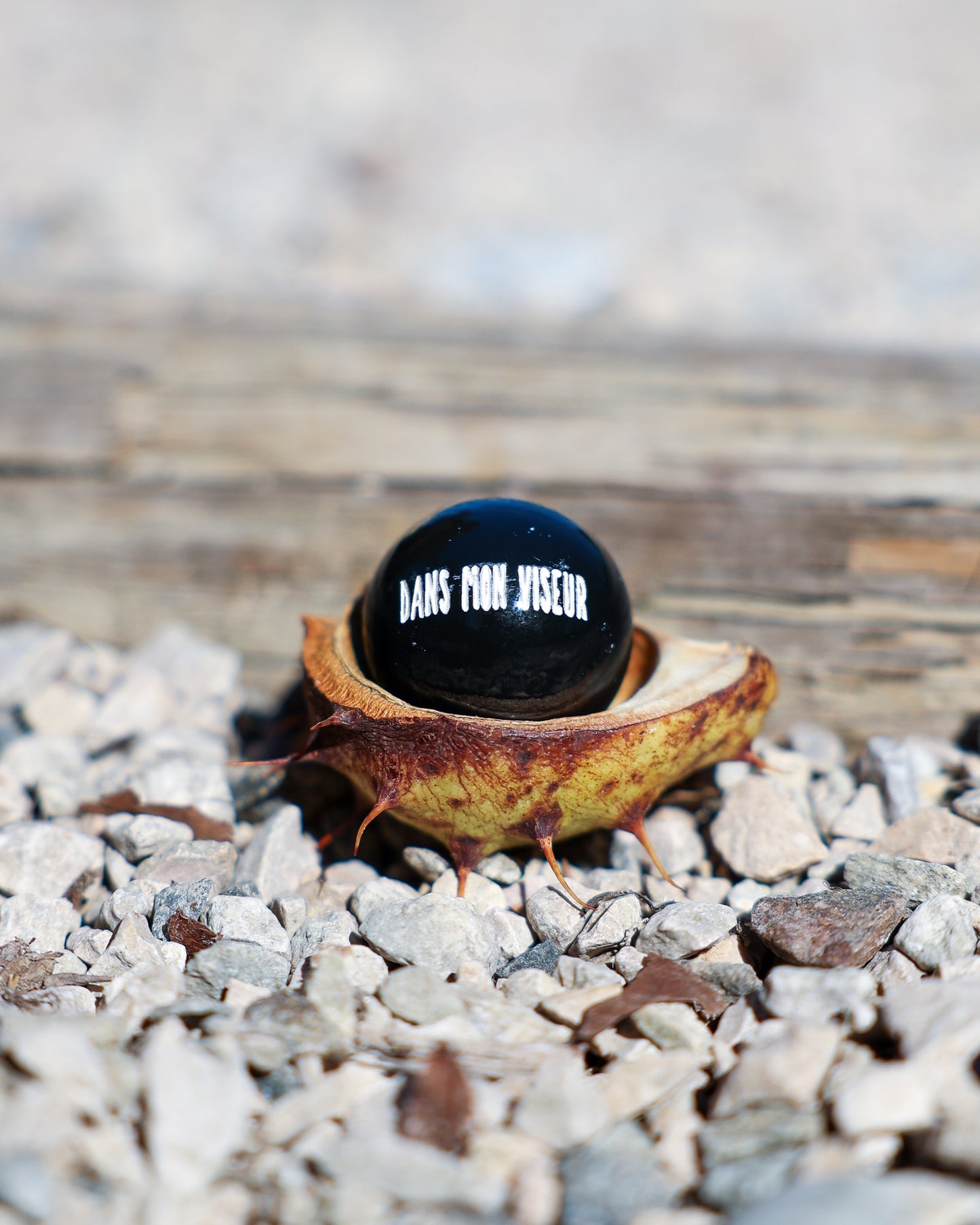 Cochonnet Dans mon Viseur