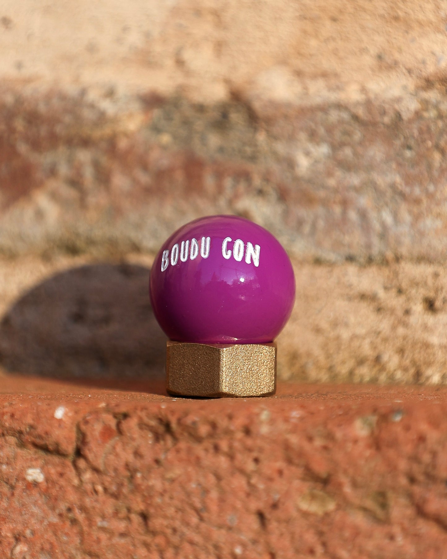 Cochonnet Boudu-Con!