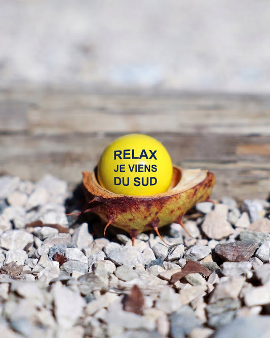 Cochonnet Relax je viens du Sud