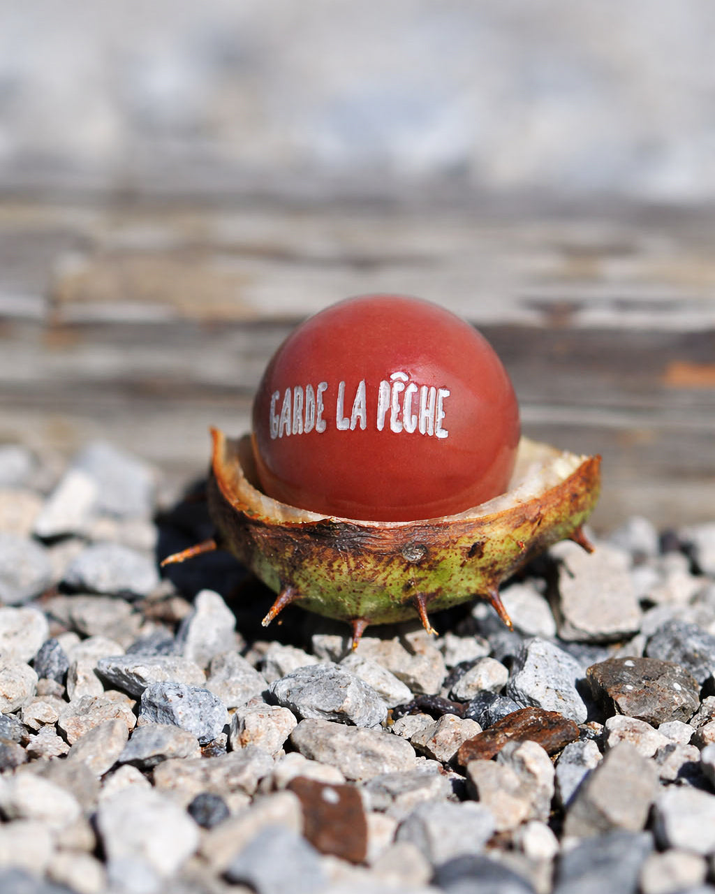 Cochonnet garde la pêche